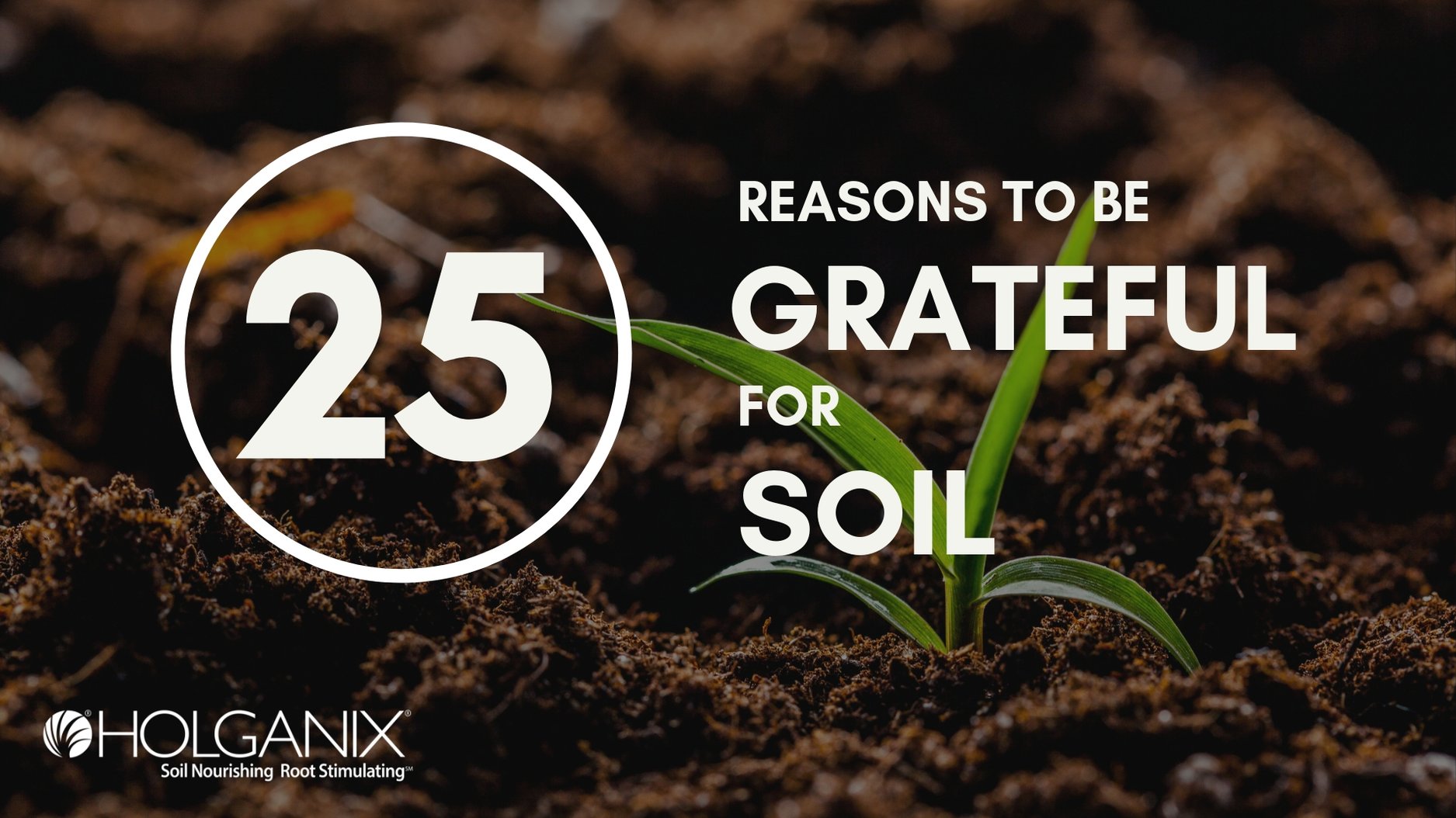25 Reasons To Be Grateful For Soil Why Soil Is Important